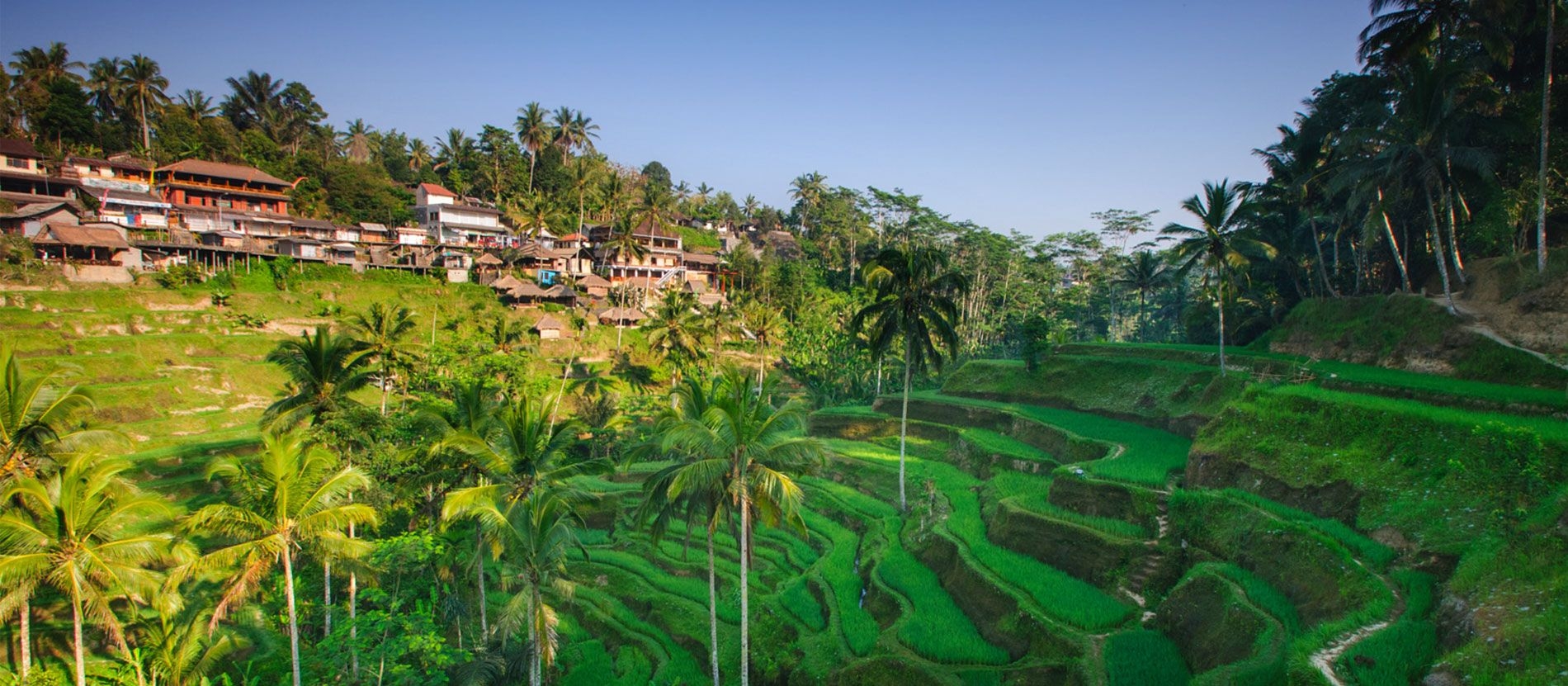 Indonesia-Tours001.jpg